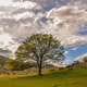 Cloud Lapse by wllmbtlr
