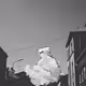 Cloud Samurai
