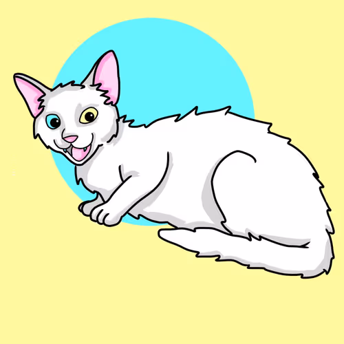 cloudy meow - old