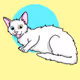 cloudy meow - old