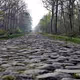 Cobbled Classics - old