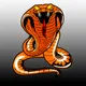 COBRA CRY