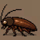 cockroach