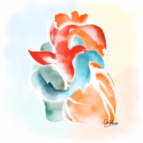 cocohare Anatomy Art