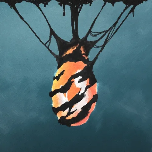 CodedCarbs Collectors Editions - old