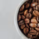 COFFEE SEEDS