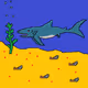 Coin_Sharks - old