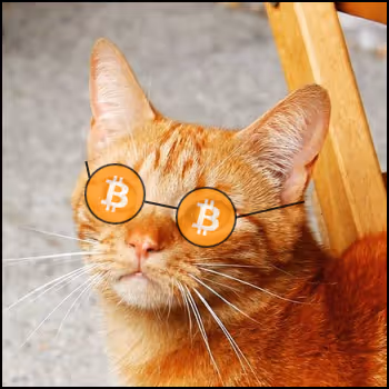 CoinMarketCats