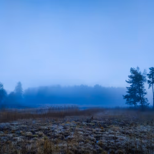 ElChup - The Swamp - old