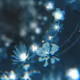 Cold florets