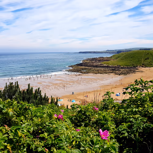 Coldingham Bay