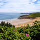 Coldingham Bay