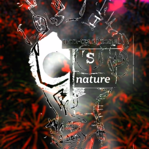 Collaboration between DLA x NFTidiots