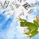 collage "money frog"