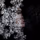Collapse Series