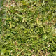 Collectible Texture