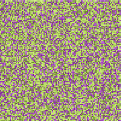 Collection 100x100 Static