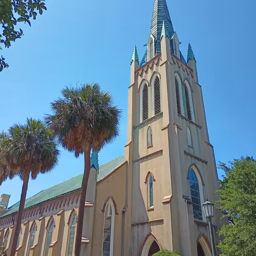 Collection Architecture