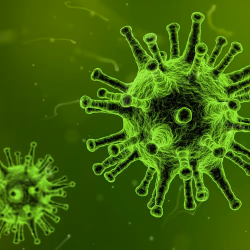 Collection CORONAVIRUS 2021 - old