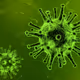 Collection CORONAVIRUS 2021 - old