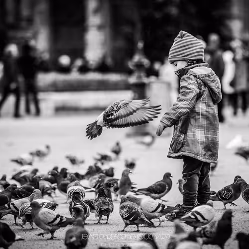 Collection des meilleurs moments d'une vie - old