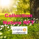 Collection Nature NFT