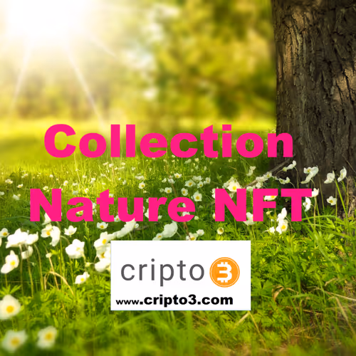 Collection Nature NFT