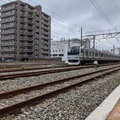 Collection of Stingraze