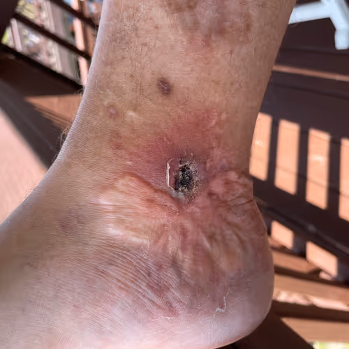 colloborationists - old