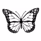 ColoFly
