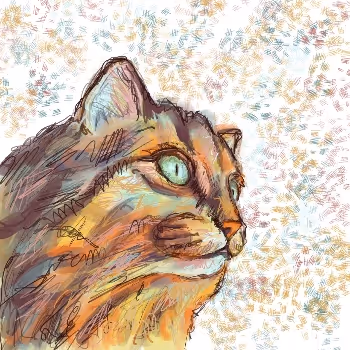 Colored digital cats