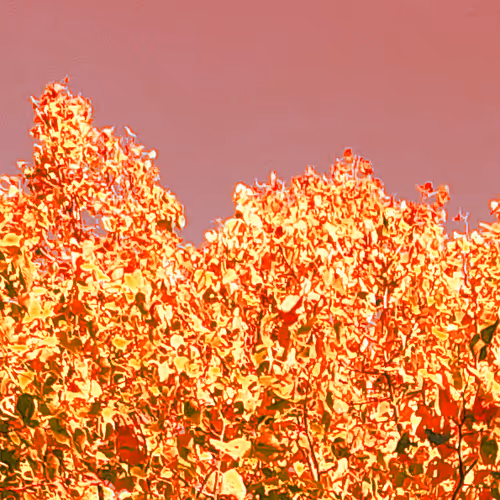 Colored Leaves - Third collection