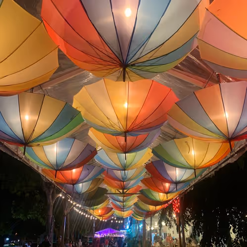colored light umbrellas