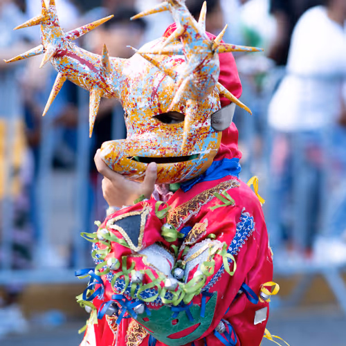 Las Mascaras del Carnaval