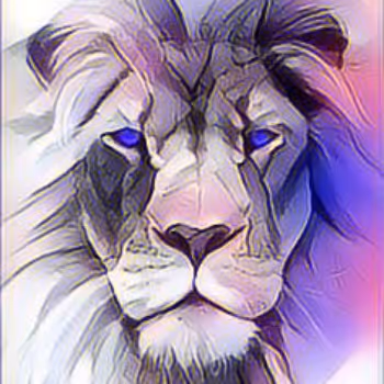 Colorful animal world