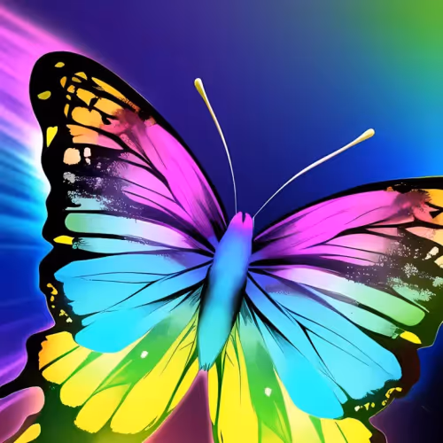 colorful Butterfly