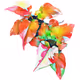 Colorful Flora