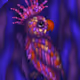 colorful_parrot