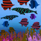 ColorfulAnimals