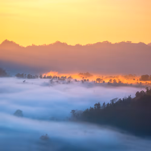 Colorful Landscape