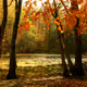 Color of Autumn - old V2