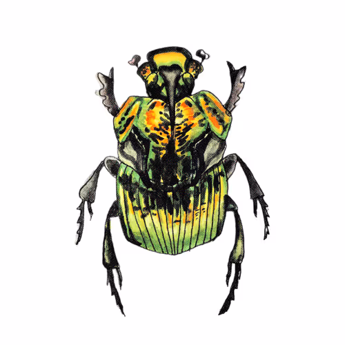 ColorsBUGs