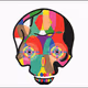 colours fun skull