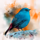 Colourful Bird Art