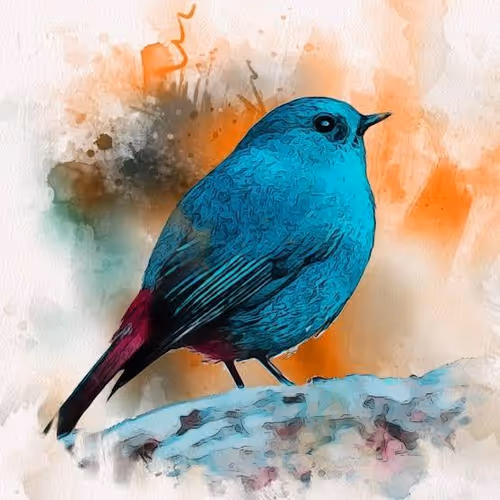 Colourful Bird Art