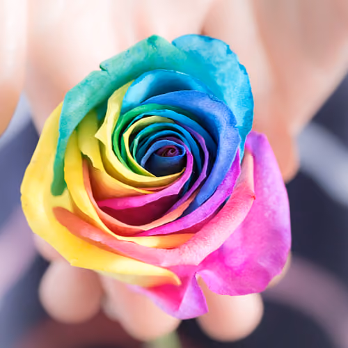Colourful-Collections