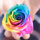 Colourful-Collections