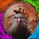 Colourize Nfts Art