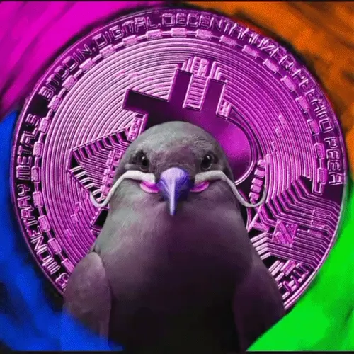 Colourize Nfts Art