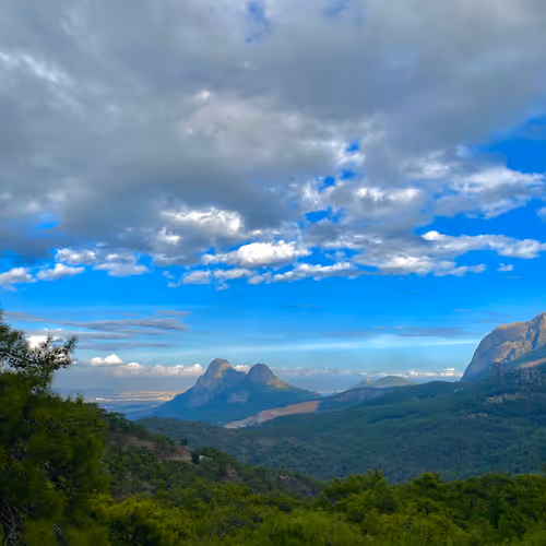 combination of sky and green